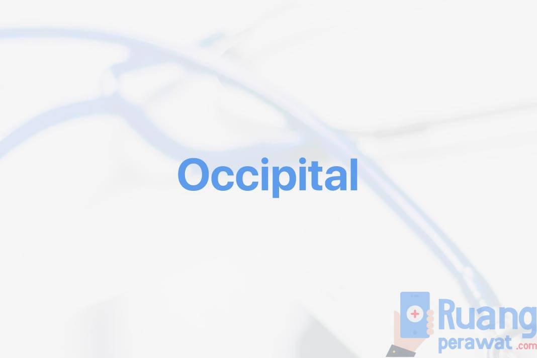 Gambar Penjelasan Occipital Adalah Pengertian Arti Serta Apa Itu Dan Definisinya