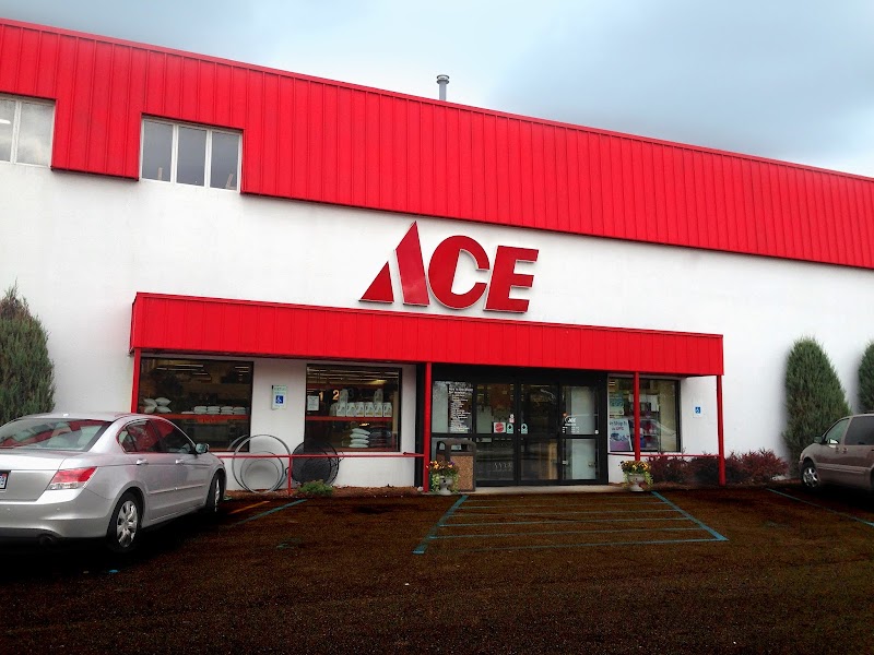 Ace Hardware (0) in Michigan