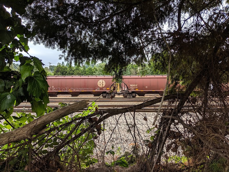 Uncover 10 Fantastic Batting Cages Options in Seattle WA