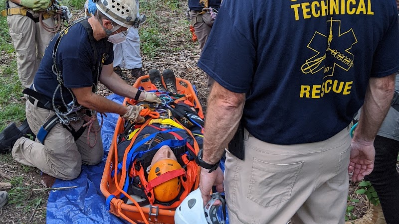 Cat Adoption (1) in Chattanooga TN