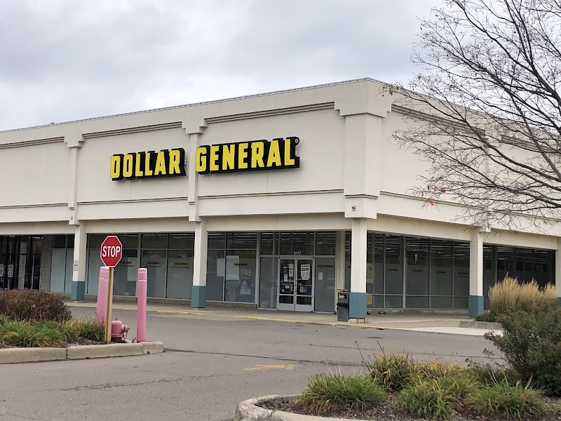 Dollar General (3) in Michigan