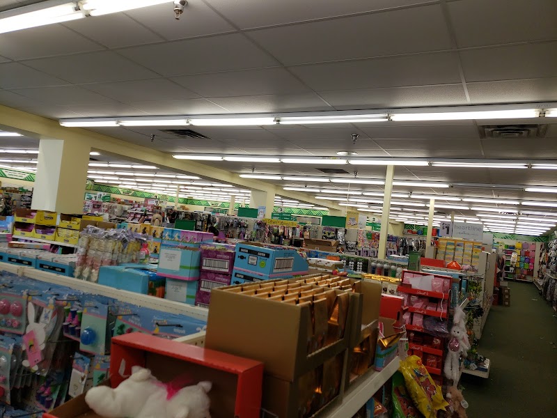 The 6 Biggest Dollar Tree Stores in Minneapolis MN