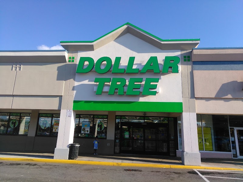 Discovering The Biggest 10 Dollar Tree Stores in Rochester NY