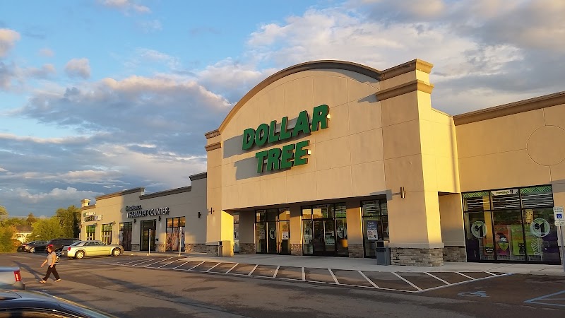 Dollar Tree (0) in Toledo OH