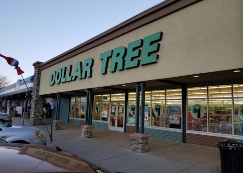 Dollar Tree (2) in Colorado