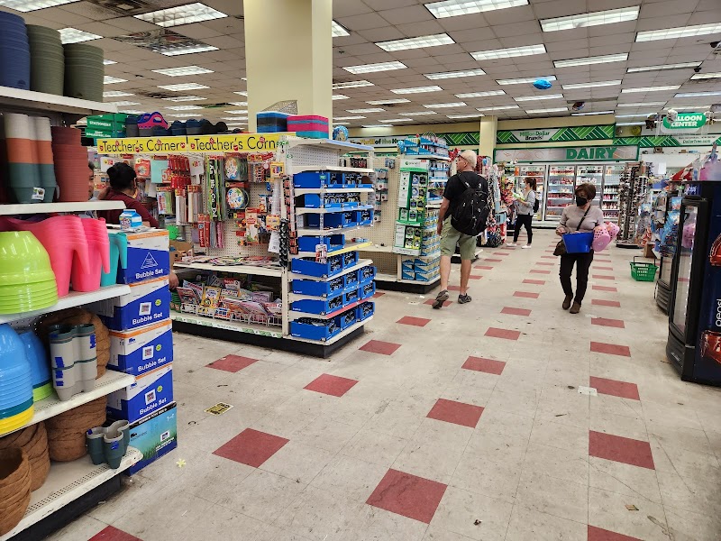The 10 Biggest Dollar Tree Stores in Manhattan NY