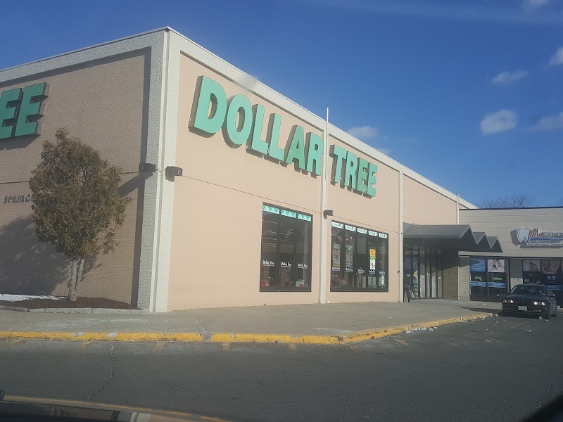 Dollar Tree (2) in Springfield MA