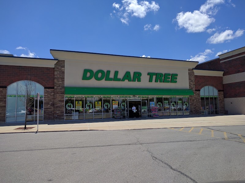 Dollar Tree (2) in Toledo OH