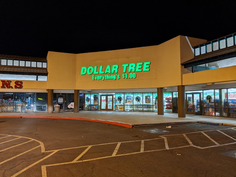 The 10 Largest Dollar Tree Store Locations in Las Vegas NV