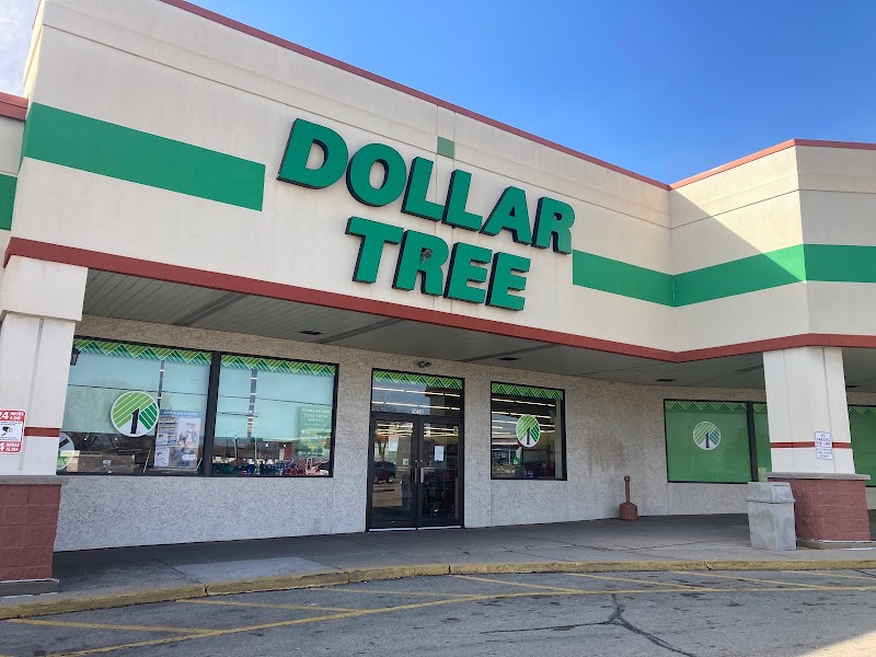 Dollar Tree (3) in Madison WI