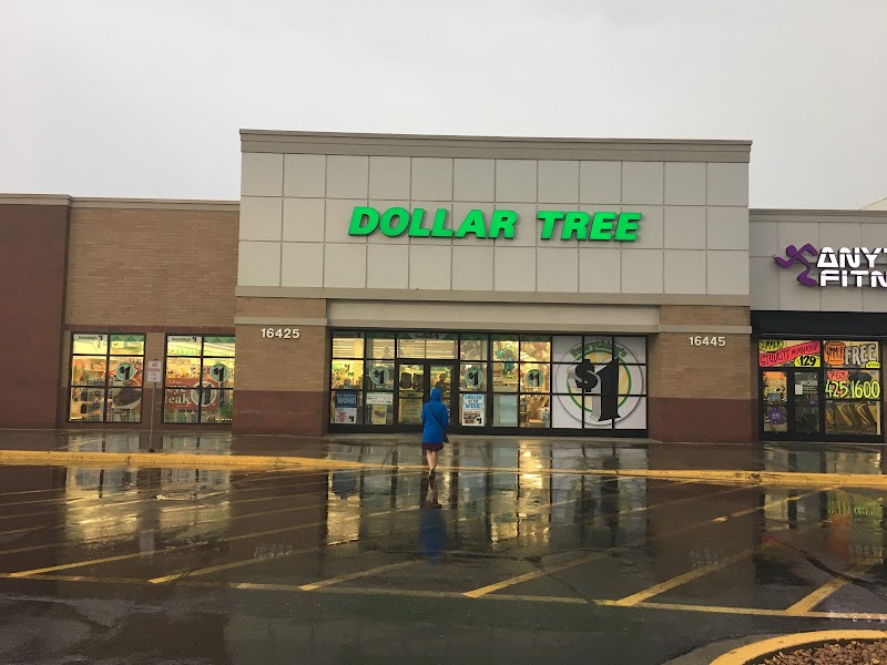 Unveiling the 10 Largest Dollar Tree in Minnesota