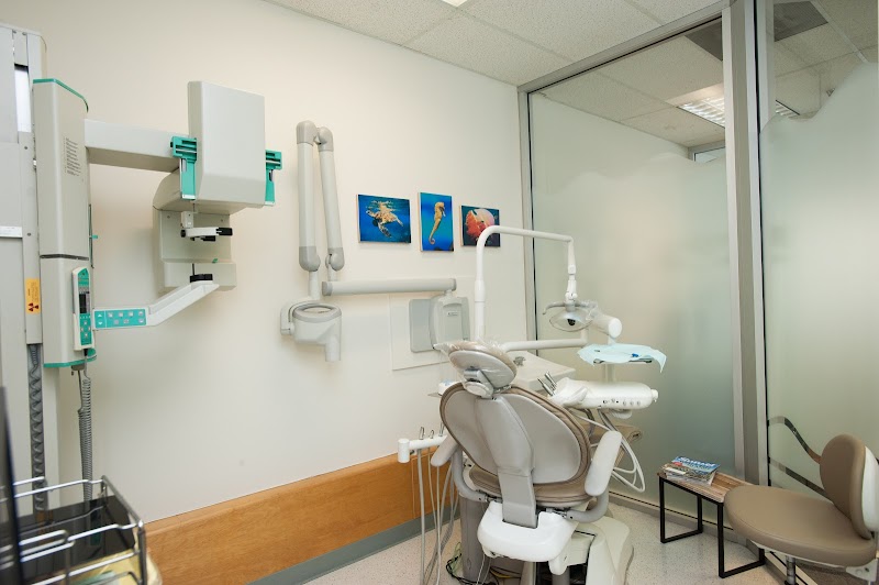 Find the 10 Best Emergency Dentist Places in Honolulu HI