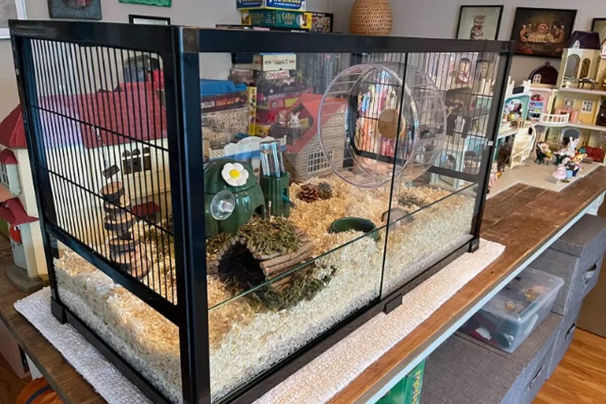 Cover How Much Is A Hamster Cage At Petsmart