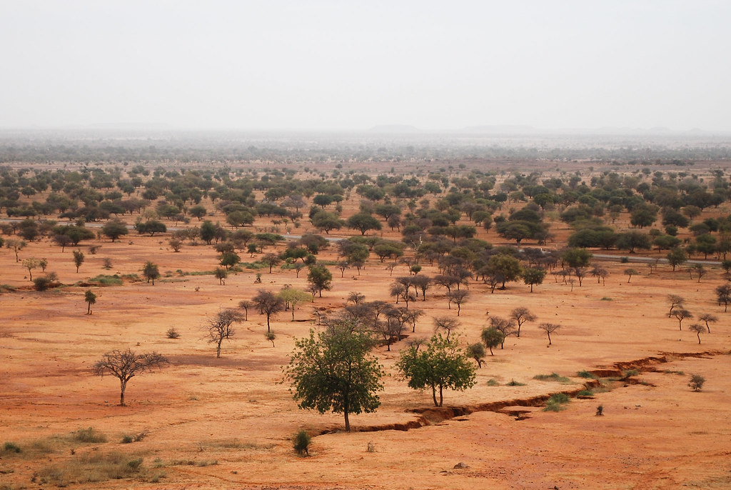 Sahelian Desert