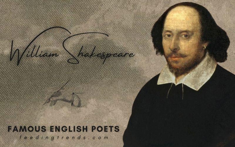 Cover Top 10 Famous English Poets