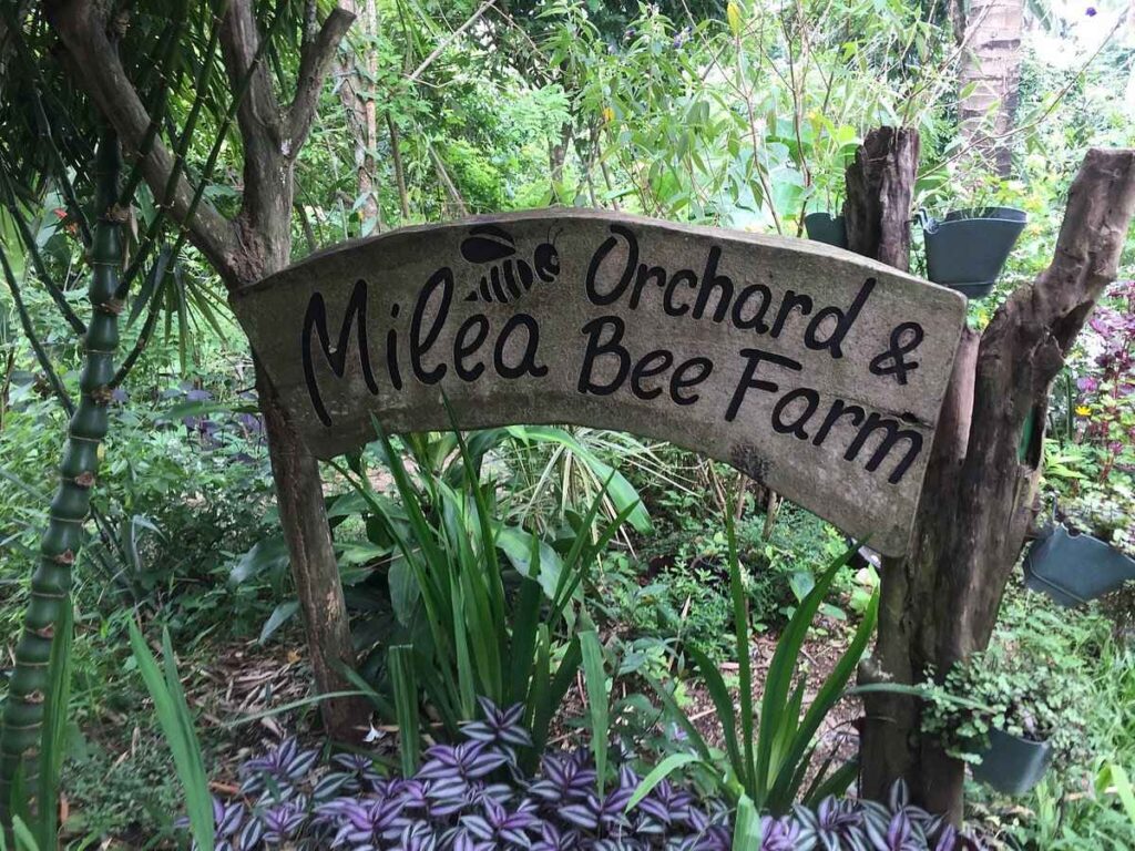 Milea Bee Farm In Antipolo, Rizal