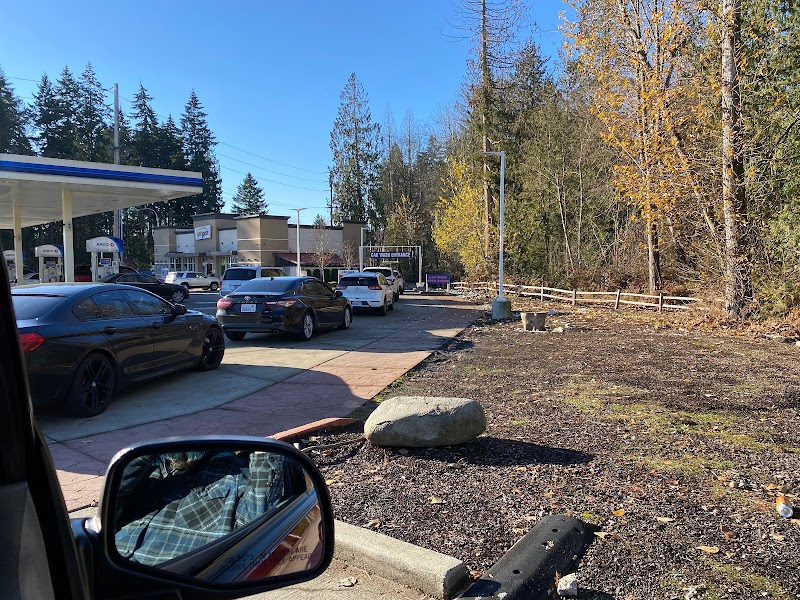 ARCO Brushless Automatic Car Wash