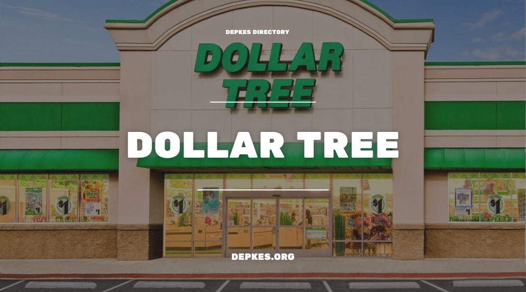 Best Reviews: Tampa FL’s Biggest Dollar Tree