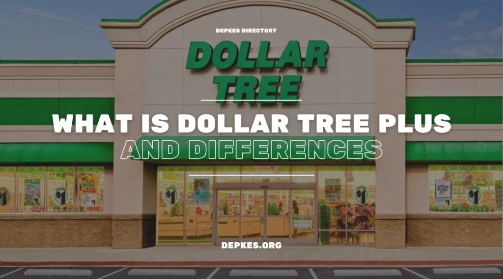 Cover What Is Dollar Tree Plus And Differences