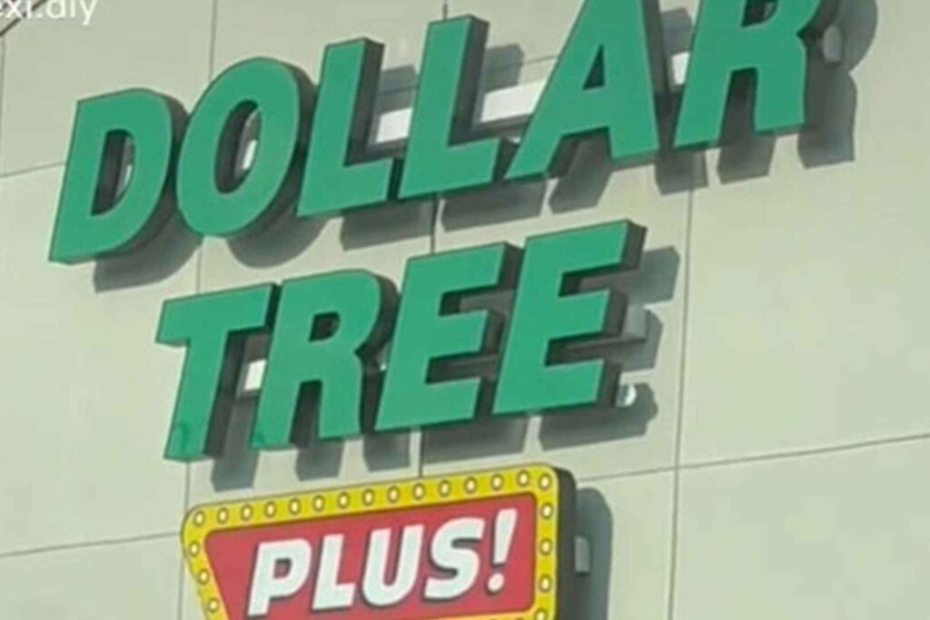 What Is Dollar Tree Plus And Differences 3
