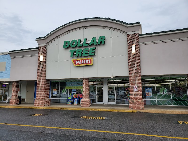 The 7 Largest Dollar Tree in Chesapeake VA