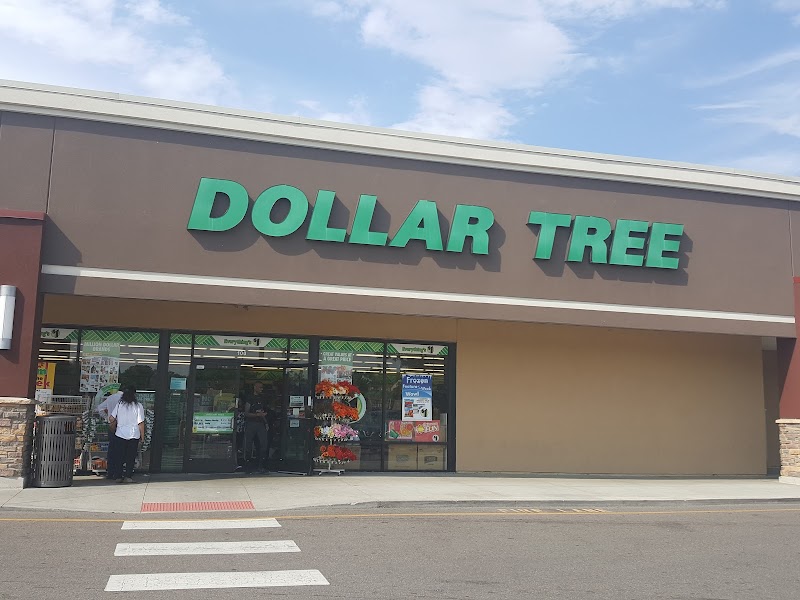 Discover the Biggest Dollar Tree Locations in Denver