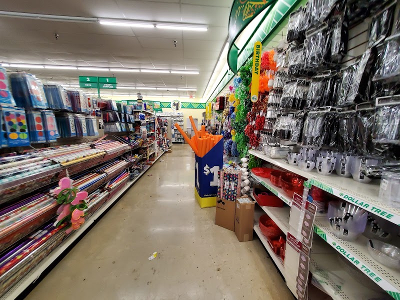 Discover the Biggest Dollar Tree Locations in Orlando FL