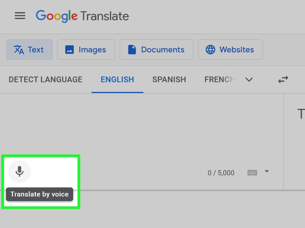 Google Translate Pc