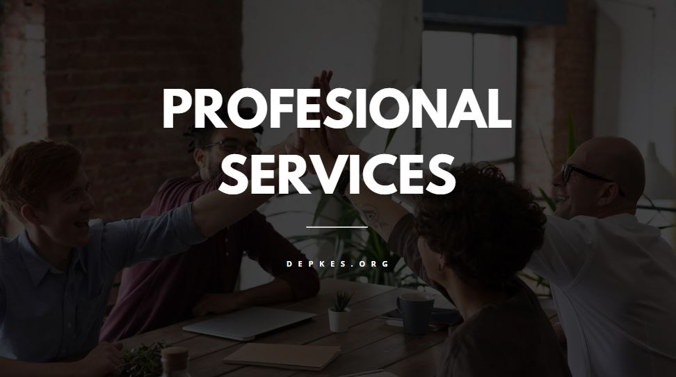 Profesional Service