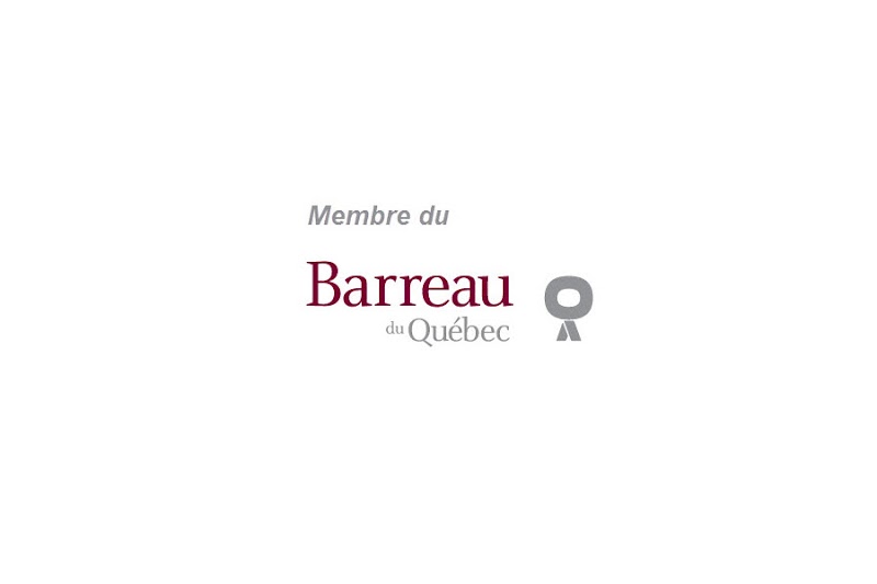 Bankruptcy Lawyer in Saint-Georges
