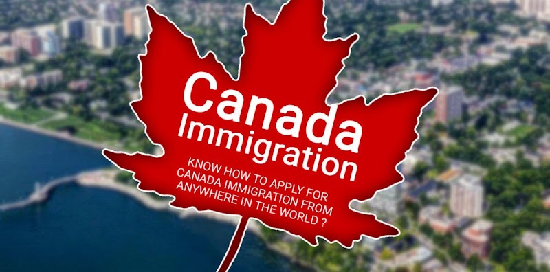Immigration Lawyer in Lloydminster