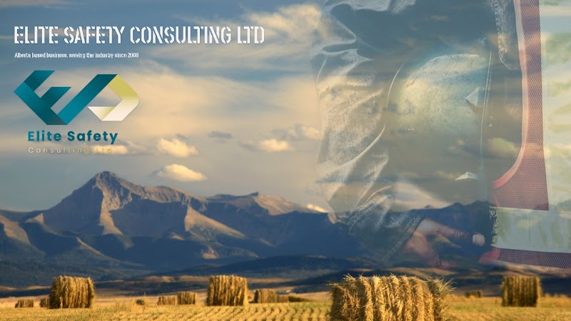 Management Consulting Firm in Cochrane
