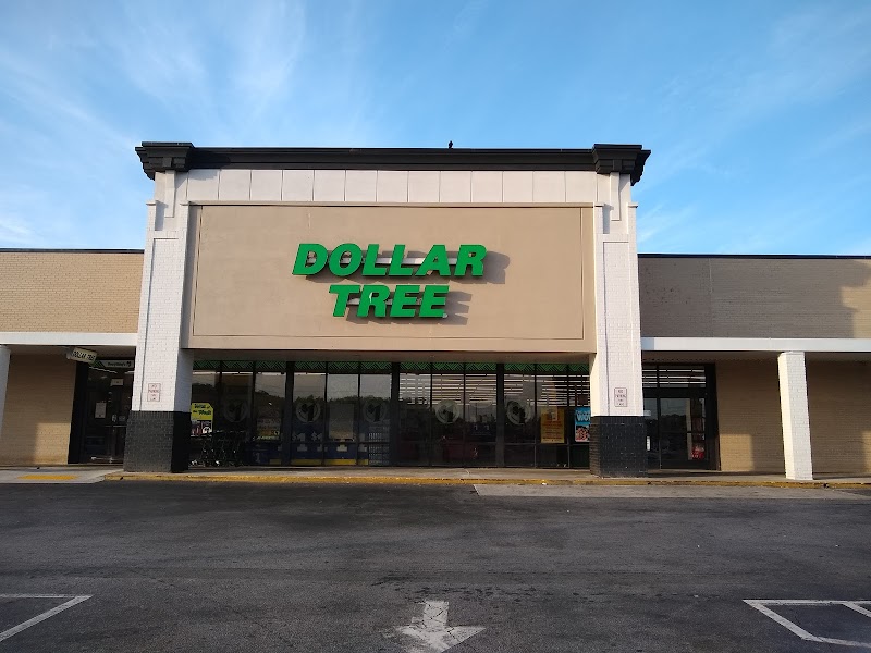 The Biggest Dollar Tree in Georgia
