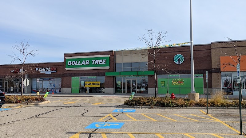 The Biggest Dollar Tree in Illinois