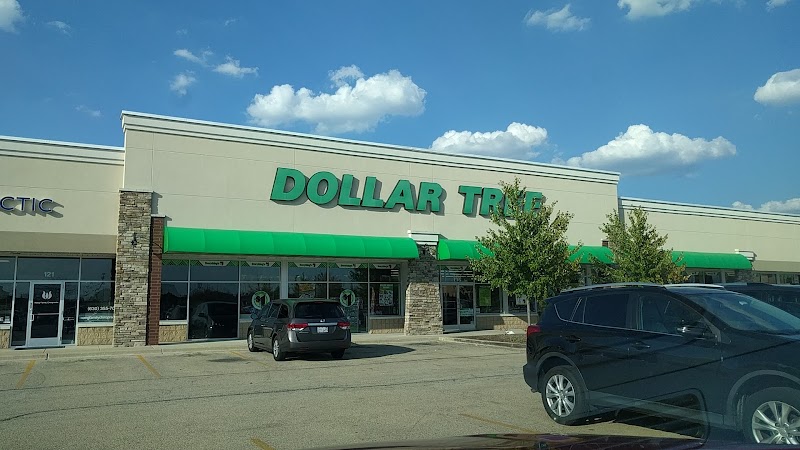 The Biggest Dollar Tree in Illinois