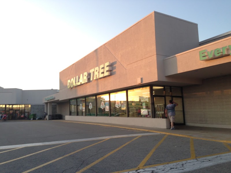 The Biggest Dollar Tree in St. Louis MO