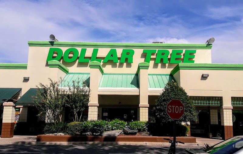 The Biggest Dollar Tree in Tampa FL